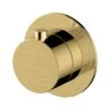 RAK Petit Round Concealed On/Off Valve Brushed Gold 1 RAK Petit Round Concealed On/Off Valve Brushed Gold -Deals Bathroom Store rak rakper3020 1g