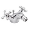 Sagittarius Fantasy Monobloc Bidet Mixer -Deals Bathroom Store sagittarius fa108c